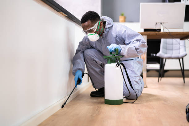 Best Pest Prevention Services  in Wyong, MI